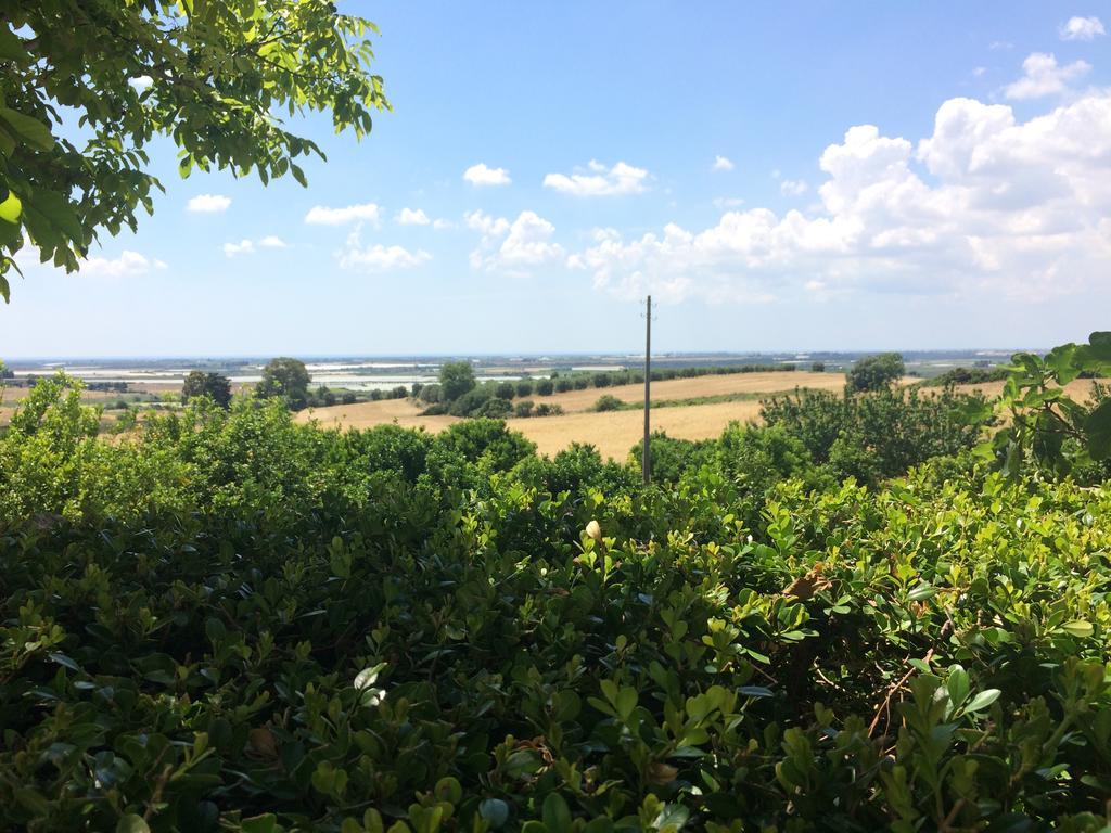 Trullo Del Cavaliere Delle Gravine Villa Castellaneta Exteriör bild