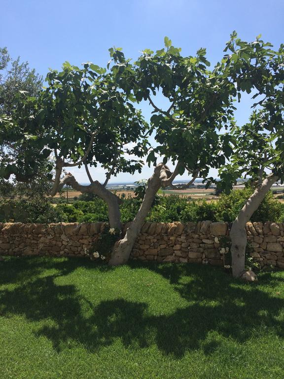 Trullo Del Cavaliere Delle Gravine Villa Castellaneta Exteriör bild